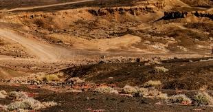 速通大会RTA in Japan今天开幕 任天堂多款游戏复出